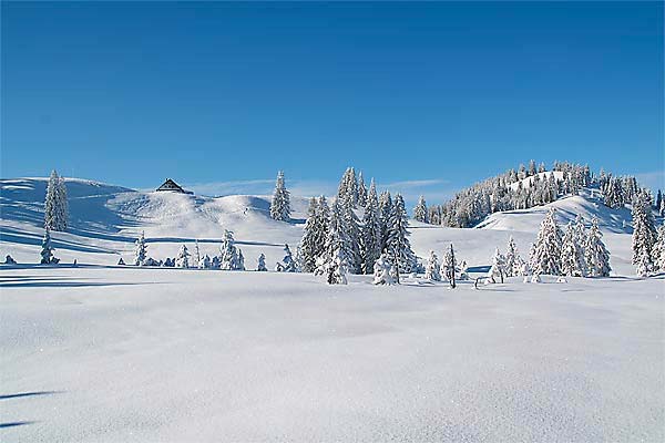 Schneeschuhwandern in den Alpen mit Hütteneinkehr