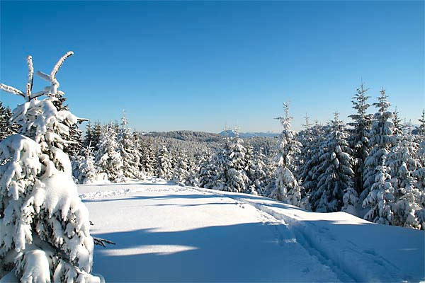 Schneeschuhtour Nagelfluhkette mit Blick auf den Grünten