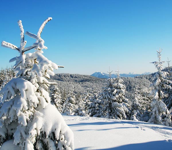 Iglu Übernachtung inklusive Traum Aussicht