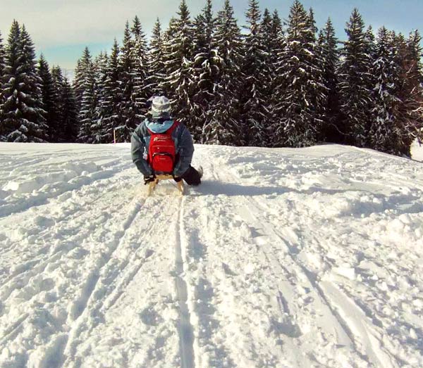 Allgäu Rodeln