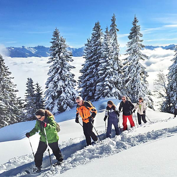 Schneeschuhwandern Tagestour Halbtagesotouren Allgaeu