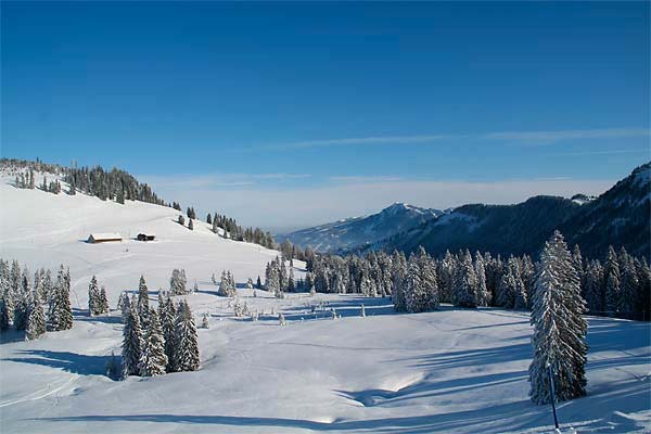 Schneeschuhtour mit Ruhe und traumhafter Landschaft im Allgäu