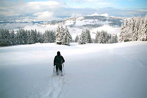 Schneeschuhtour Gruenten