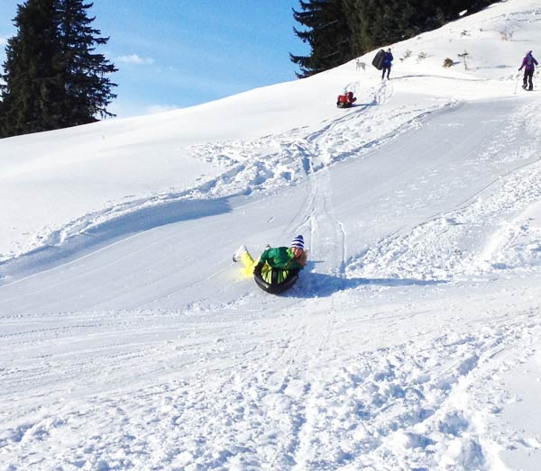 NEU - Panoramatour mit anschließender Air-Bob Abfahrt