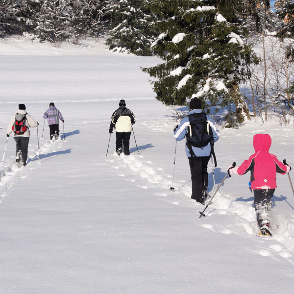 Schneeschuhwandern Halbtagestouren im Allgäu