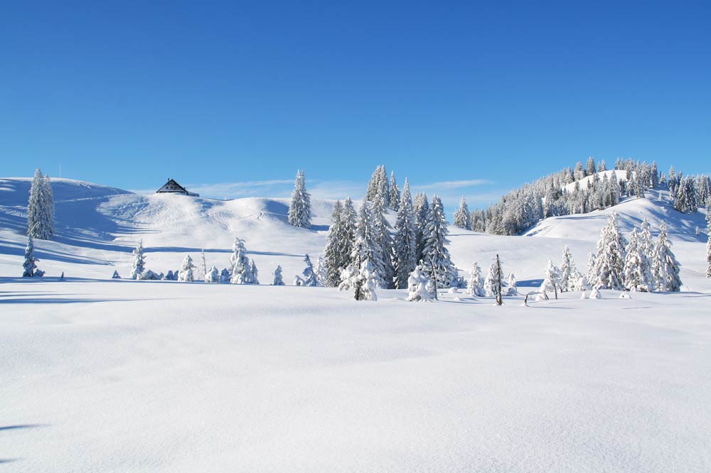 Traumhafte Schneeschuh Huette Alpen