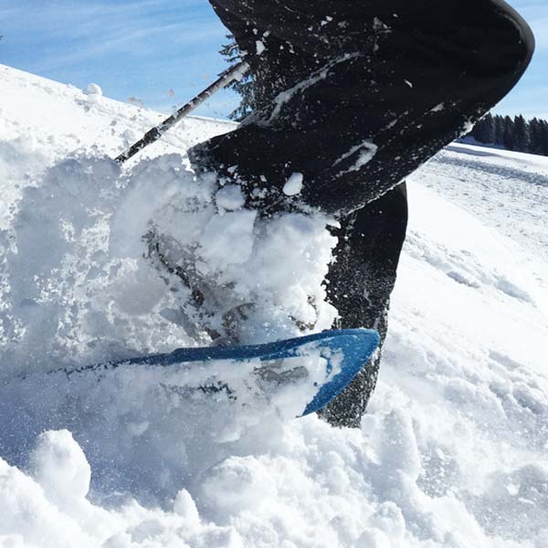 STEIGBACHTOBEL WANDERUNG MIT SCHNEESCHUHEN (HALBTAG)