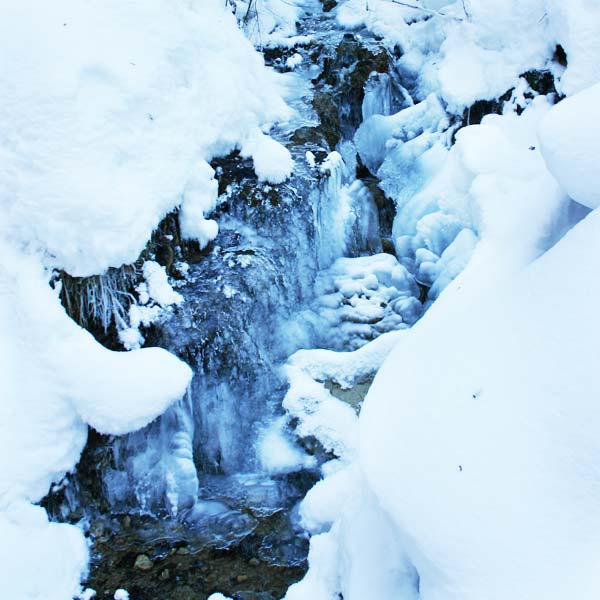 WASSERFALL SCHNEESCHUHWANDERUNG RUND UM IMMENSTADT