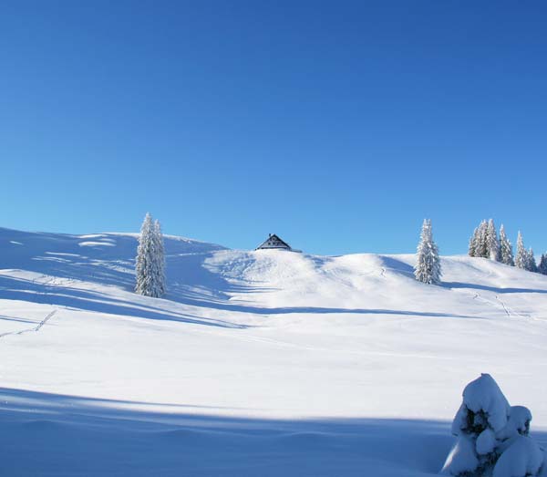 Schneeschuh Huetten Tour Berghuette