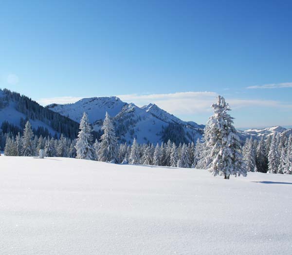 Schneeschuhwandern Ganztagestouren